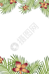 手绘兰花素材小清新叶子背景设计图片