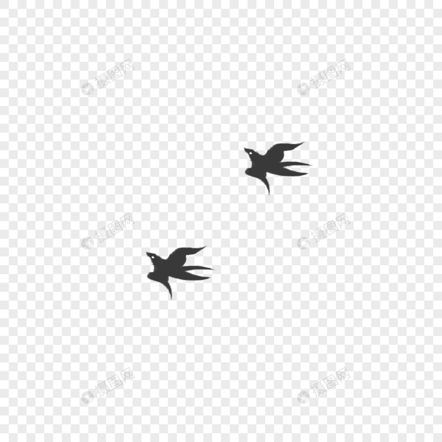 燕子图片