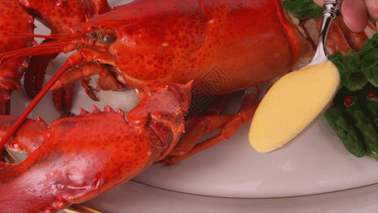 红色食品龙虾奶酪GIF高清图片