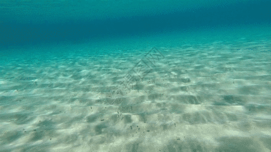 水面波纹GIF图片