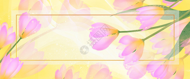 花卉背景插画背景图片
