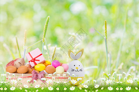 草地的兔子复活节设计图片