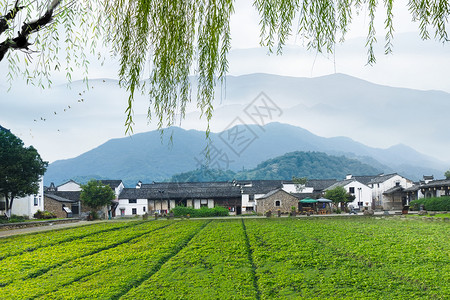 田野村庄江南春色设计图片