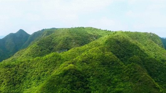 绿色延绵小山丘航拍山丘美景GIF高清图片