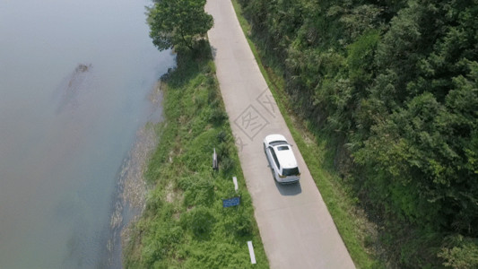 河边树航拍汽车运动GIF高清图片