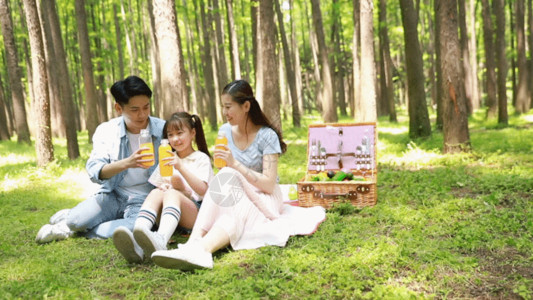 公园里樱花树一家人在公园森林里游玩GIF高清图片