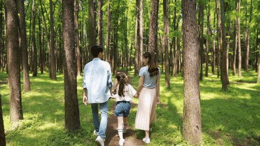 秋景森林里一家人在公园森林里游玩GIF高清图片