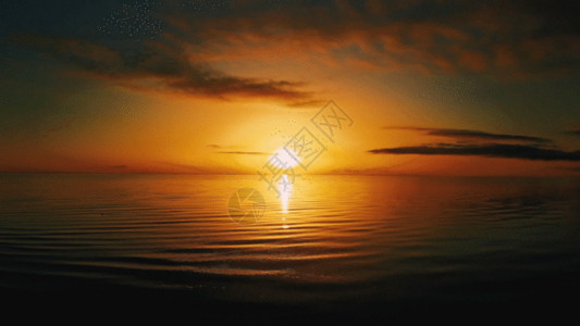 湖面上野鸭款款夕阳青海湖GIF高清图片