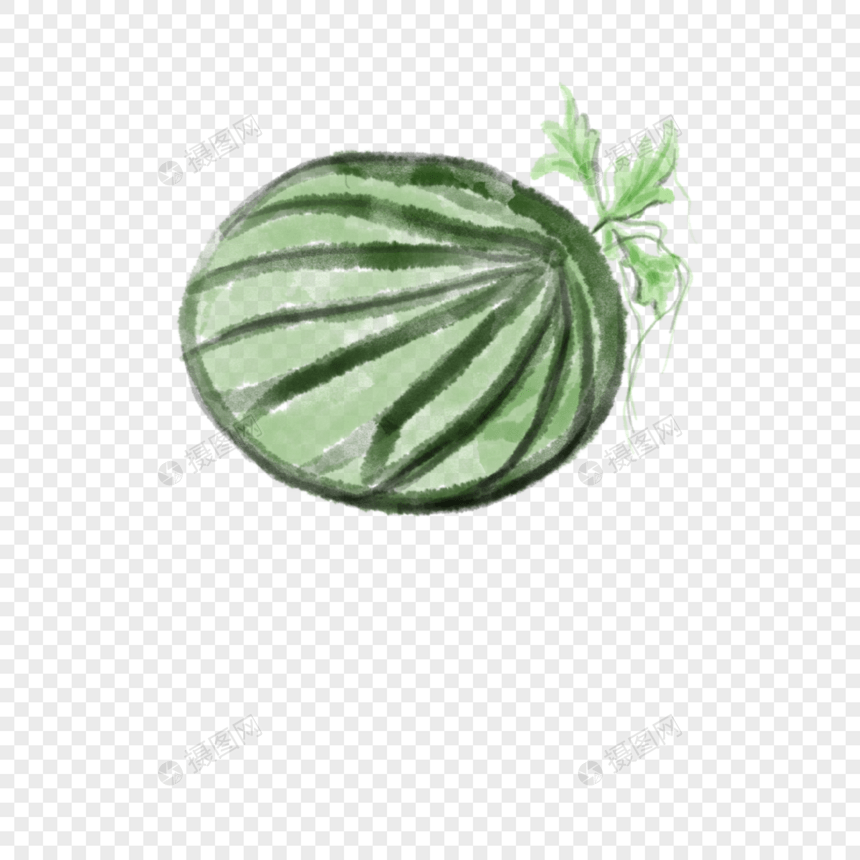 一个长着的西瓜插图图片
