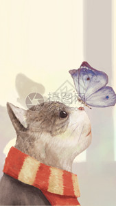 矢量的猫玩蝴蝶你好四月手绘卡通手机海报gif高清图片