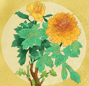 中国风国潮工笔黄丹花花卉背景图片