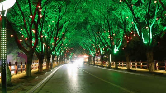绿树浓荫春节街道张灯结彩延时实拍GIF高清图片