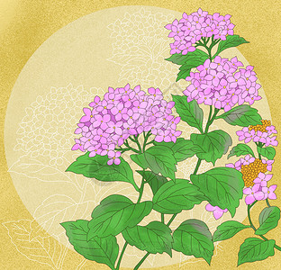 中国风国潮工笔紫阳花花卉图片