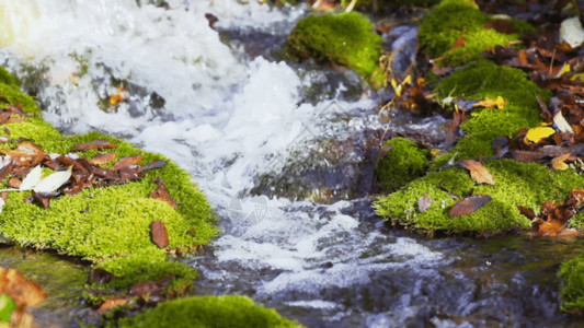 溪水潺潺小溪河流河水溪流GIF高清图片