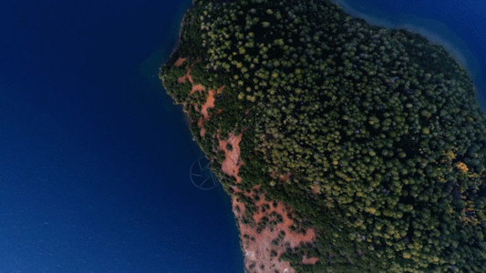 自然湖森林航拍泸沽湖GIF高清图片