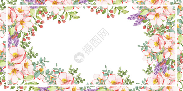 水彩植物边框小清新花朵背景设计图片