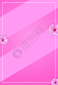 粉色色块背景图片