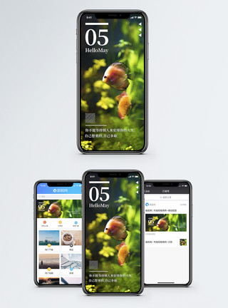 鱼儿来去自由心情日签手机海报配图模板