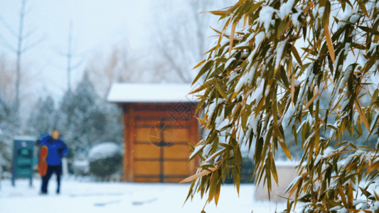 蓝色小屋冬天的雪景GIF高清图片