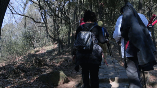 森林徒步登山运动GIF高清图片