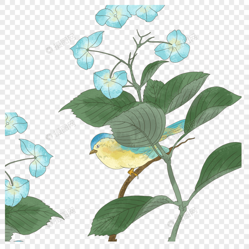 蓝色的花枝小鸟图片