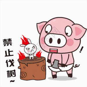疣猪白色猪小胖GIF高清图片
