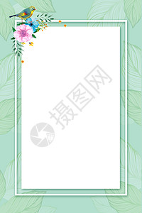 植物相框素材小清新绿色相框背景设计图片