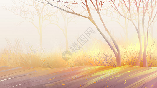 秋季风景插画唯美森林背景设计图片
