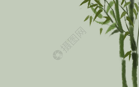 手绘竹子素材绿色插画竹子设计图片