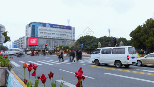 马路绿化花坛城市街道绿化公路交通延时GIF高清图片