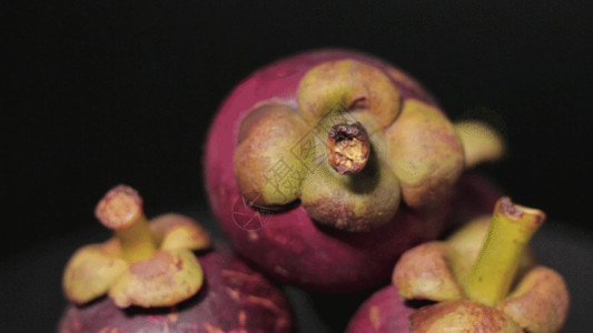 紫色兰花团扇山竹实拍GIF高清图片
