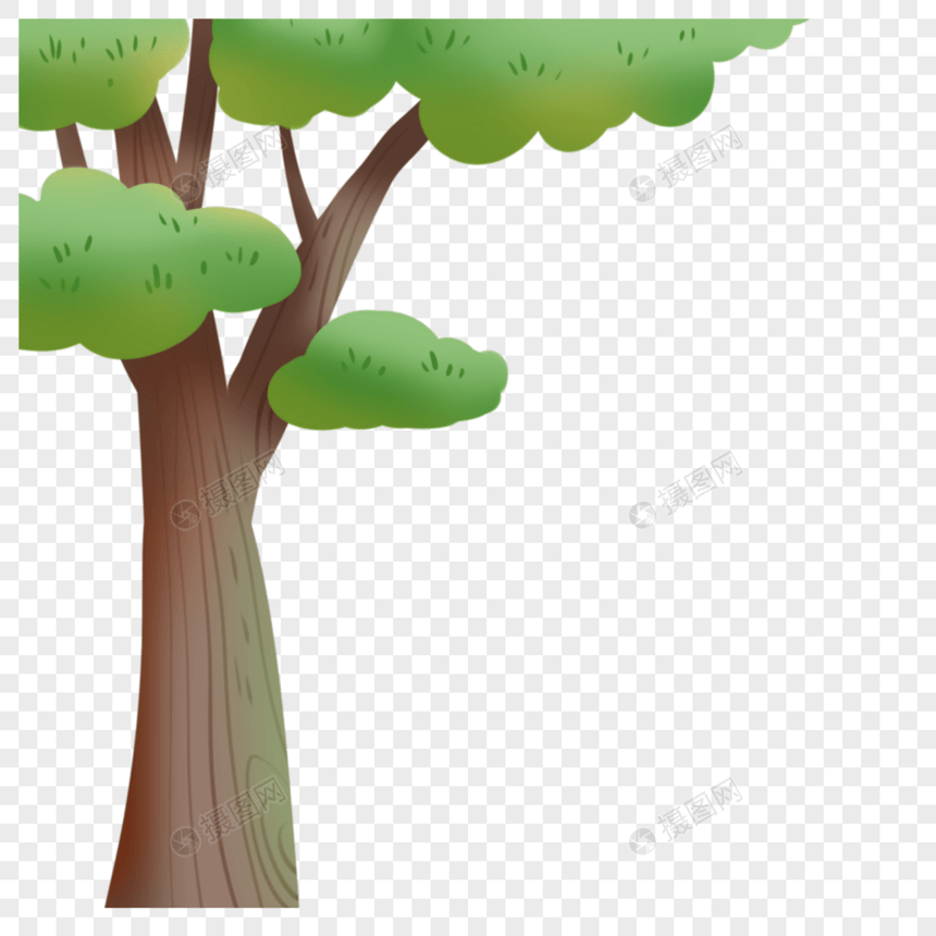 绿树图片