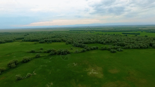 新疆草原风景图新疆航拍原始森林草原GIF高清图片