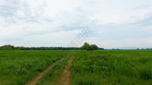 草原和森林新疆草原森林道路野外GIF高清图片