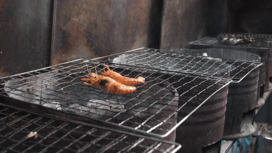 捕捞虾烤虾放虾慢动作实拍视频GIF高清图片