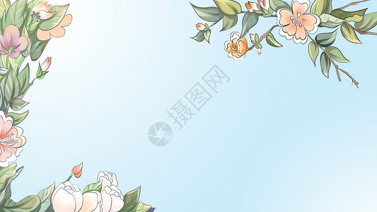 白花花框花卉背景设计图片