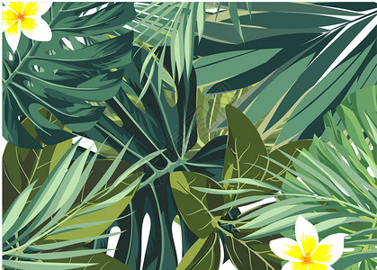 热带植物叶子绿植花卉背景设计图片