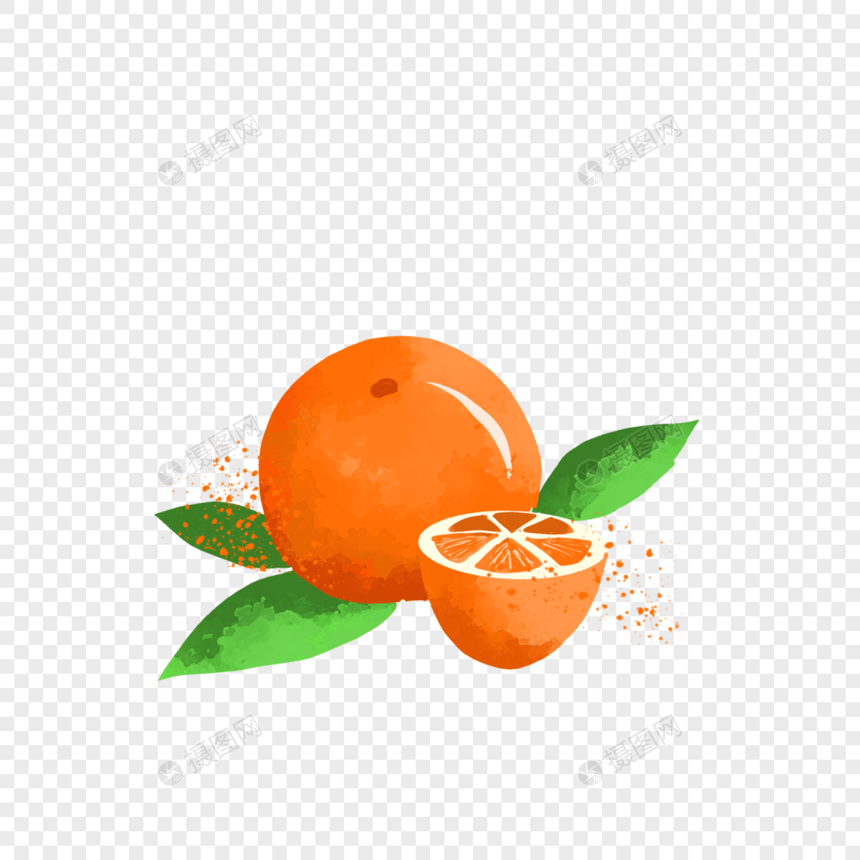 夏天夏日清新橙子水果手绘装饰图案图片