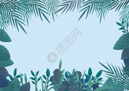 手绘热带叶子绿色植物插画设计图片