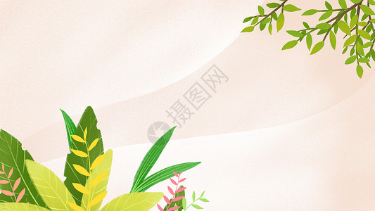 热带树叶花卉绿植花卉背景设计图片