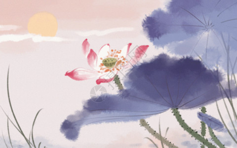 粉色盛开的荷花中国风荷花GIF高清图片