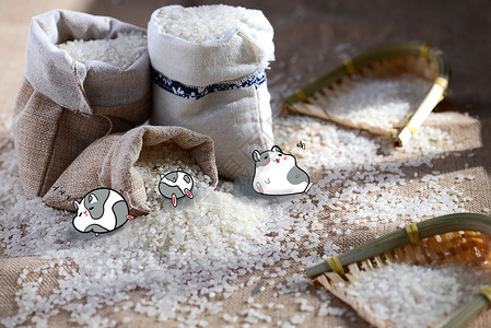 偷吃的老鼠偷吃米袋创意摄影插画