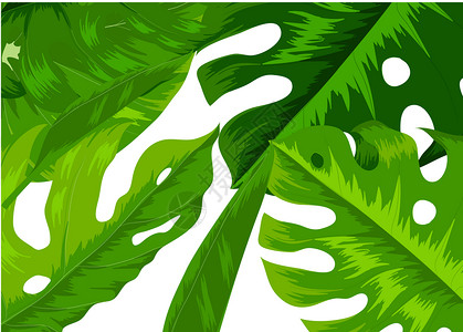 手绘热带植物热带植物背景设计图片