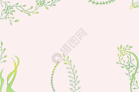 绿色树枝藤蔓绿色植物插画设计图片
