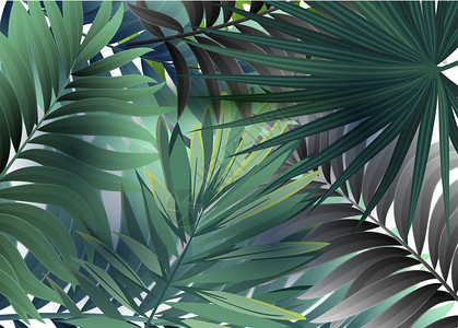 手绘热带植物绿色植物插画设计图片