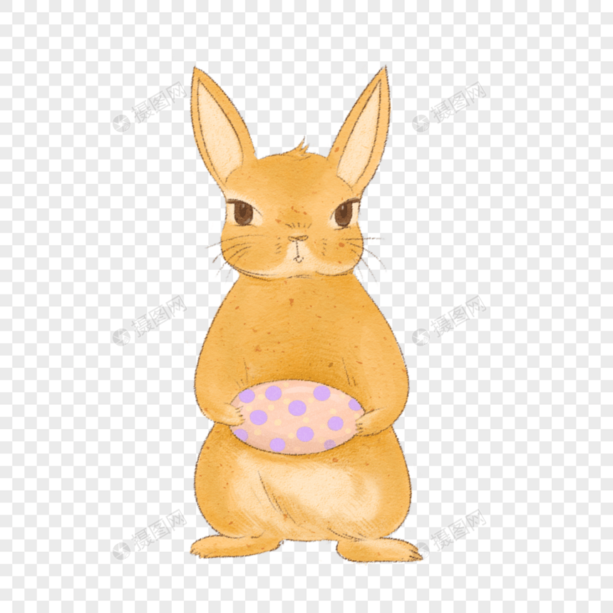 抱着彩蛋的兔子图片