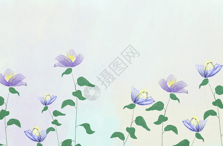 手绘紫色花瓣花卉设计图片