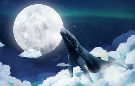 飞机装饰空中的鲸鱼插画