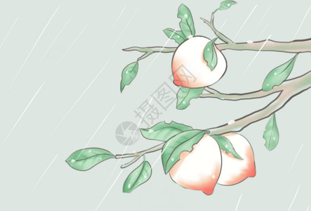 树枝上的桃子谷雨gif动图高清图片