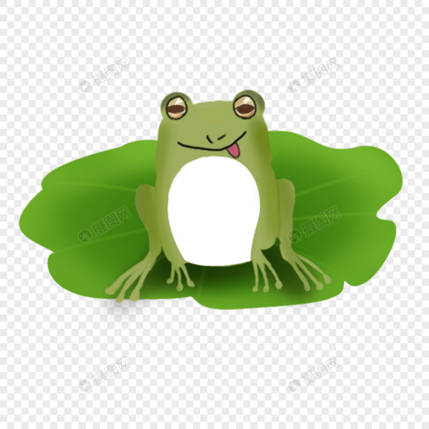 荷叶青蛙绿色素材图片